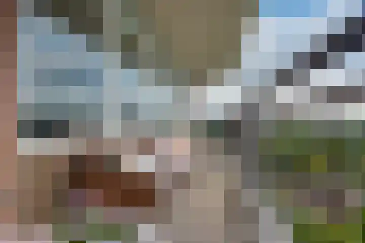 Rodelaan 309 Voorburg thumbnail 20