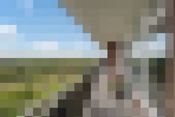 Rodelaan 309 Voorburg thumbnail 21