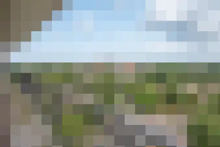 Rodelaan 309 Voorburg thumbnail 22