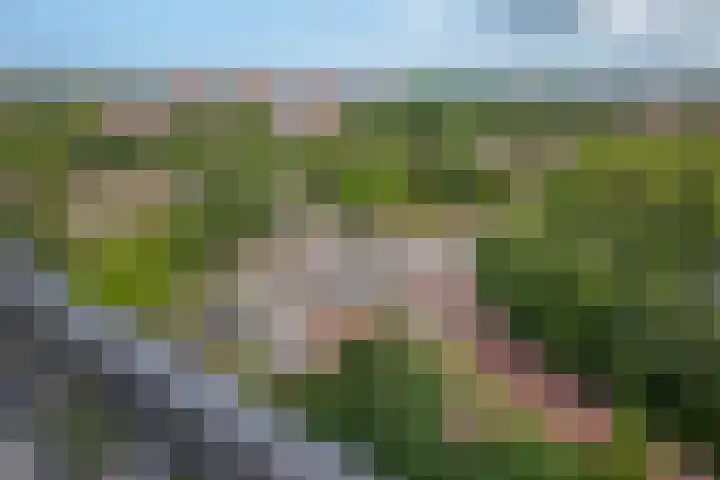 Rodelaan 309 Voorburg thumbnail 24