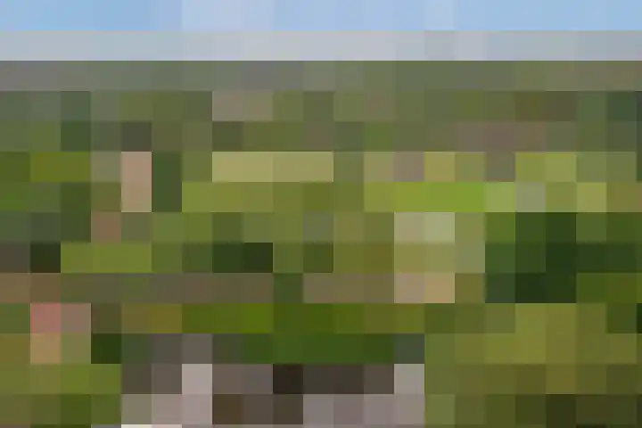 Rodelaan 309 Voorburg thumbnail 25