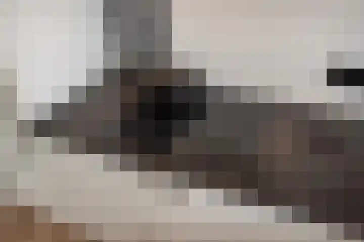 Rodelaan 309 Voorburg thumbnail 28