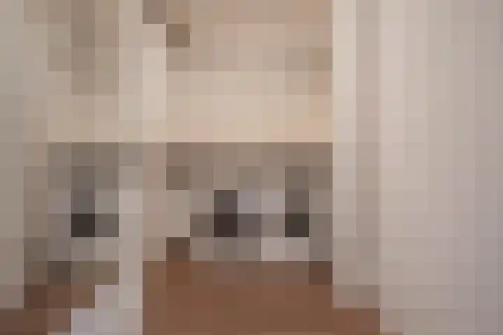 Rodelaan 309 Voorburg thumbnail 34