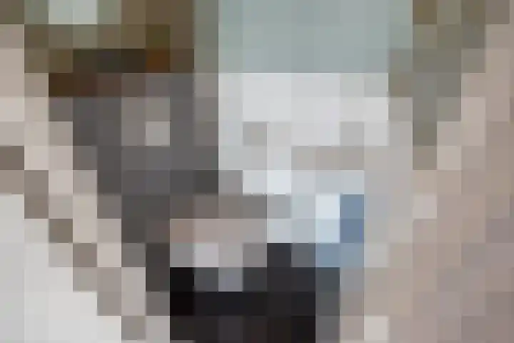 Rodelaan 309 Voorburg thumbnail 35