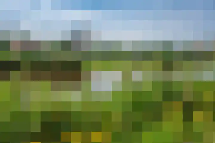 Rodelaan 309 Voorburg thumbnail 39