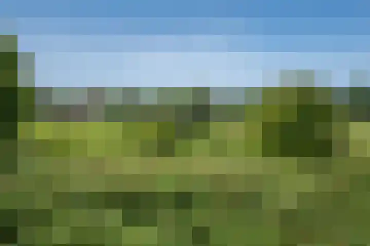 Rodelaan 309 Voorburg thumbnail 40