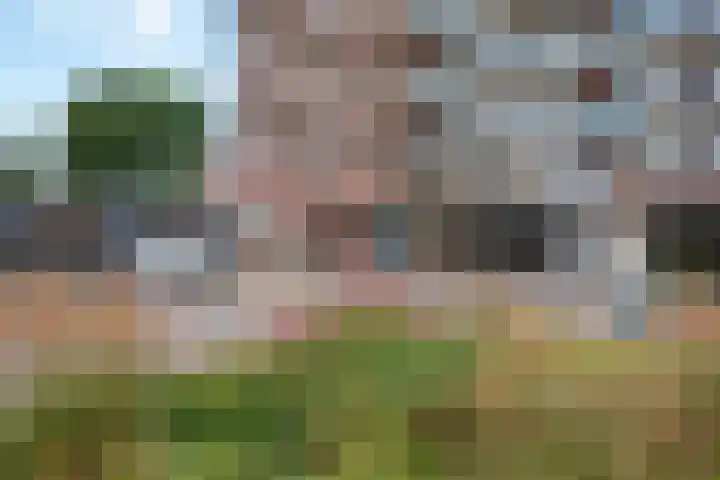 Rodelaan 309 Voorburg thumbnail 7