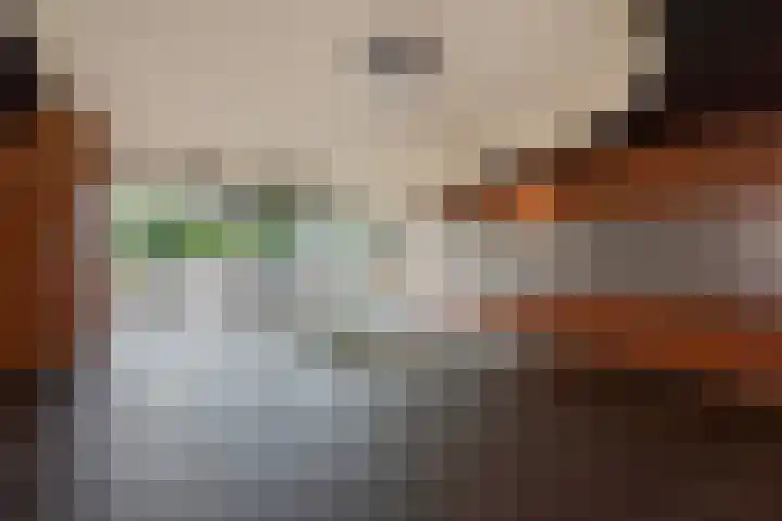 Rodelaan 309 Voorburg thumbnail 8