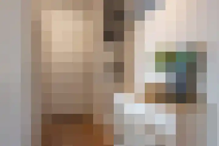 Rodelaan 309 Voorburg thumbnail 9