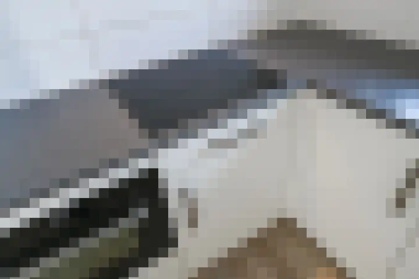 Rodelaan 329 Voorburg thumbnail 13