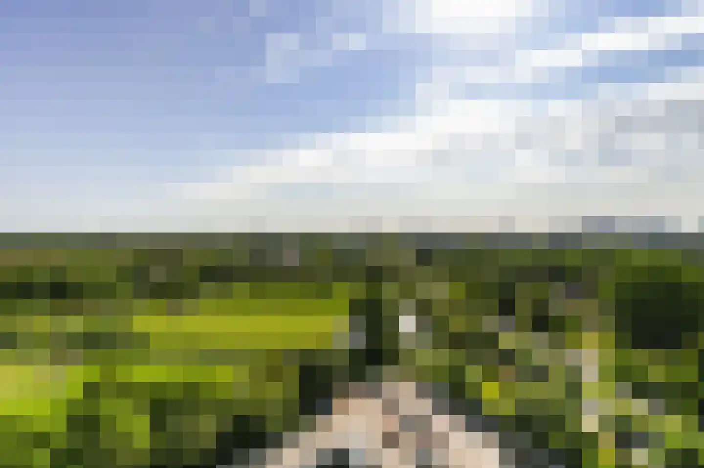 Rodelaan 329 Voorburg thumbnail 8