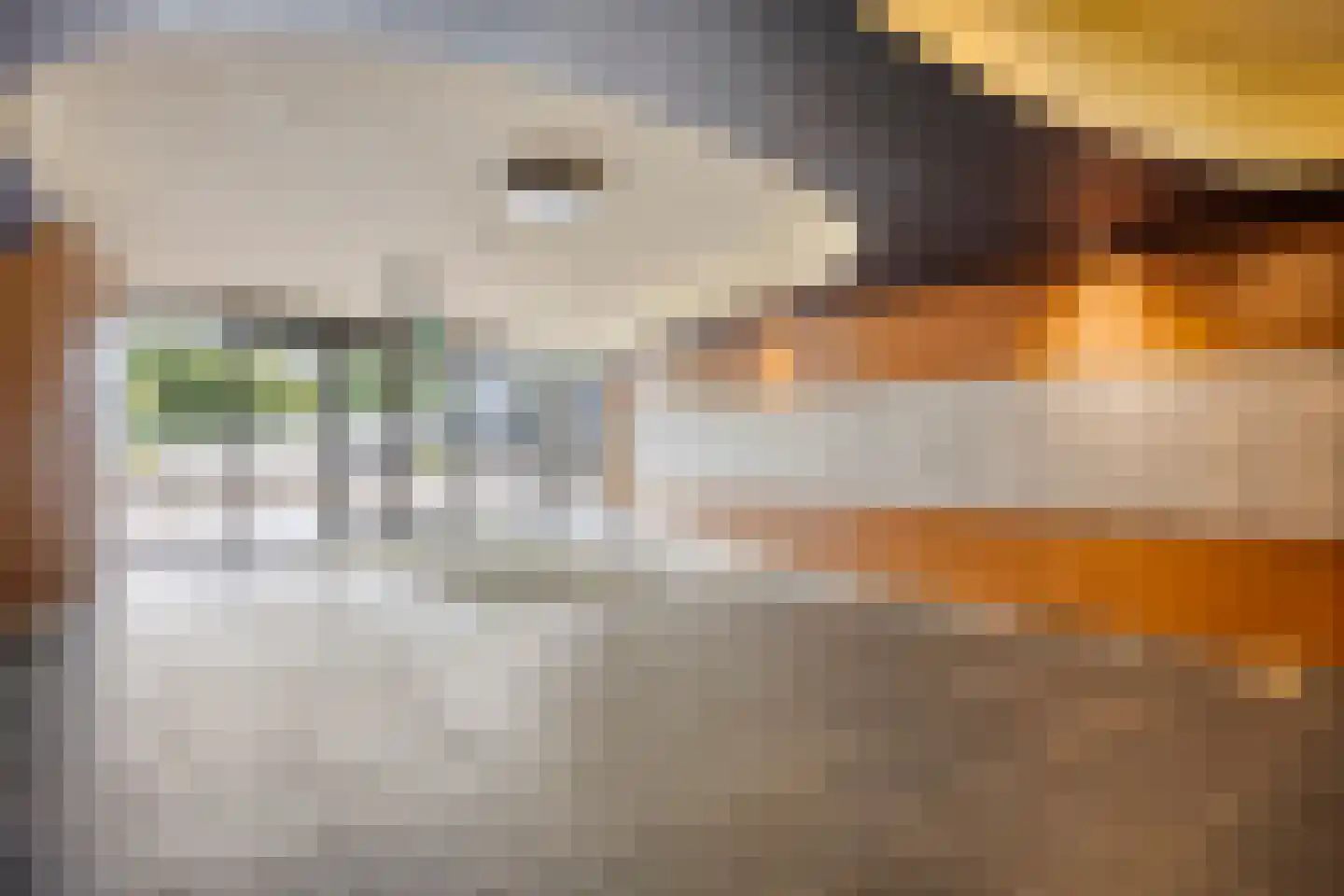 Rodelaan 371 Voorburg thumbnail 19
