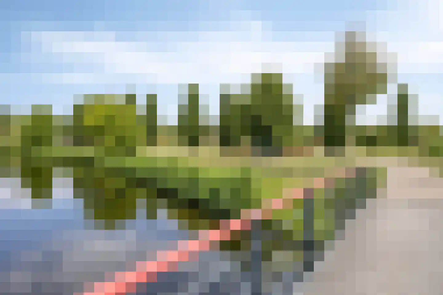 Rodelaan 371 Voorburg thumbnail 23