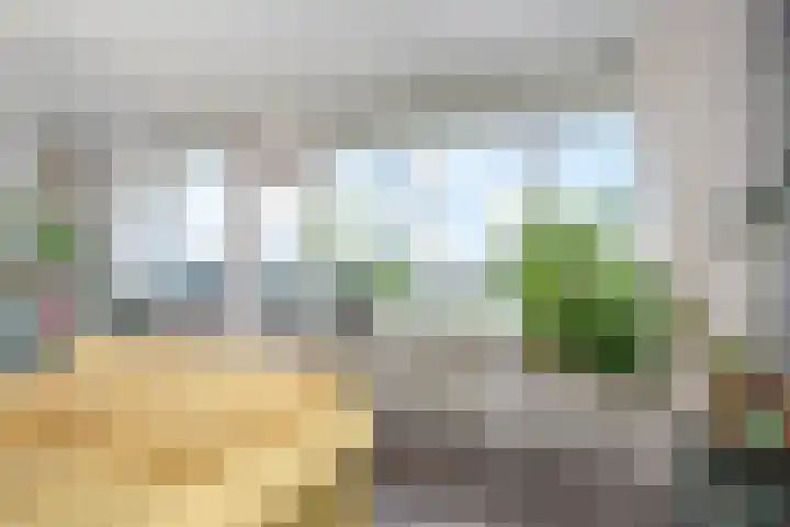 Rodelaan 377 Voorburg thumbnail 14