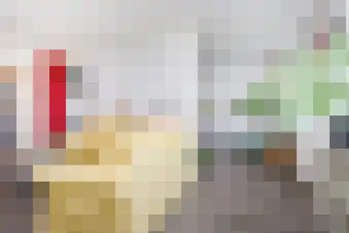 Rodelaan 377 Voorburg thumbnail 15