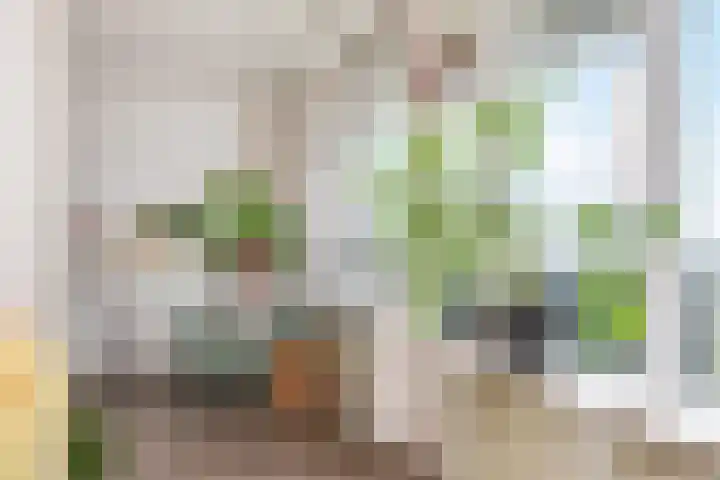 Rodelaan 377 Voorburg thumbnail 21