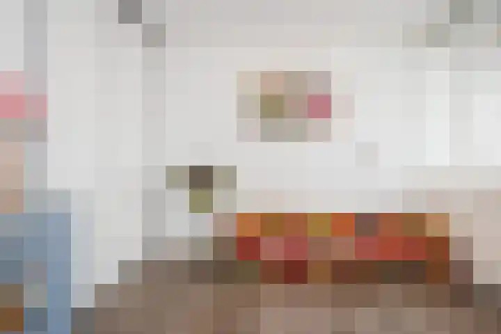 Rodelaan 377 Voorburg thumbnail 23