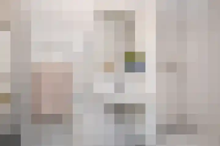 Rodelaan 377 Voorburg thumbnail 26