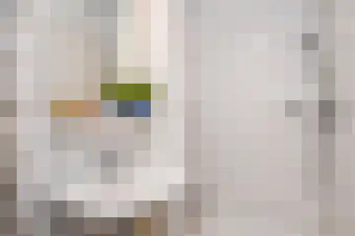 Rodelaan 377 Voorburg thumbnail 27
