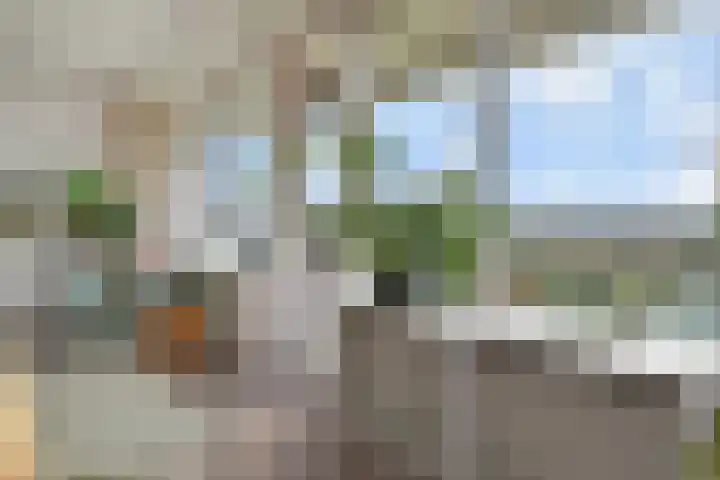 Rodelaan 377 Voorburg thumbnail 29
