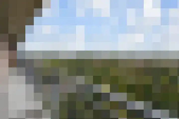 Rodelaan 377 Voorburg thumbnail 32