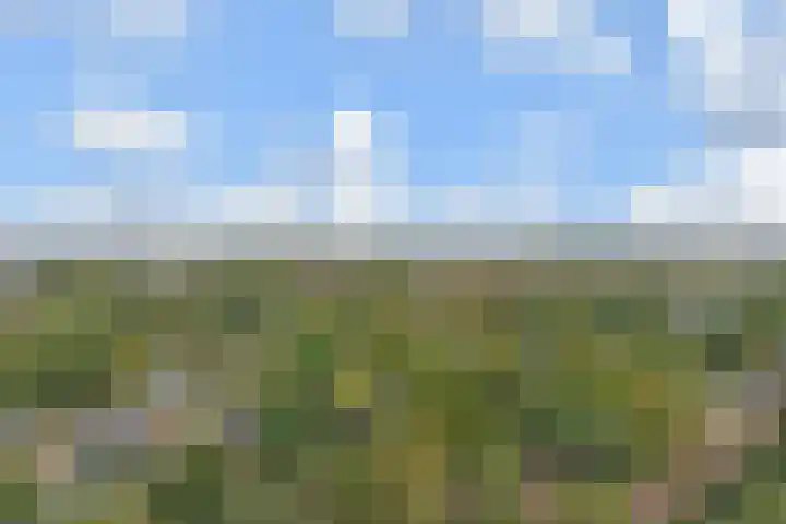 Rodelaan 377 Voorburg thumbnail 33