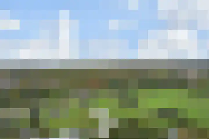 Rodelaan 377 Voorburg thumbnail 35