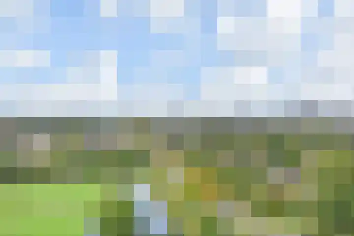 Rodelaan 377 Voorburg thumbnail 37