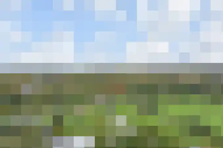 Rodelaan 377 Voorburg thumbnail 39