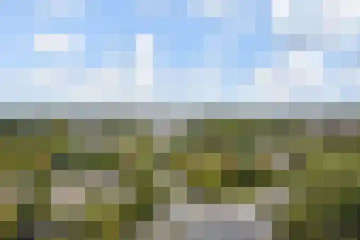 Rodelaan 377 Voorburg thumbnail 40