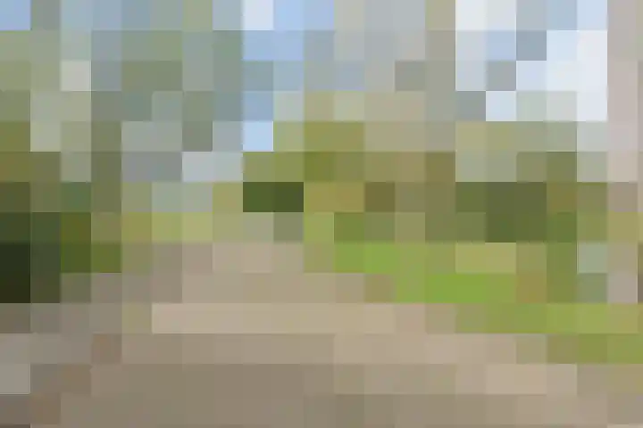 Rodelaan 377 Voorburg thumbnail 49