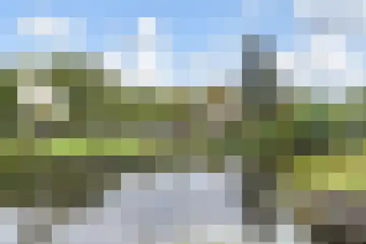 Rodelaan 377 Voorburg thumbnail 51