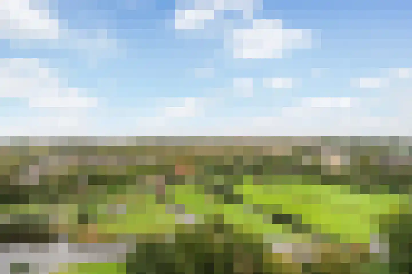 Rodelaan 379 Voorburg thumbnail 11
