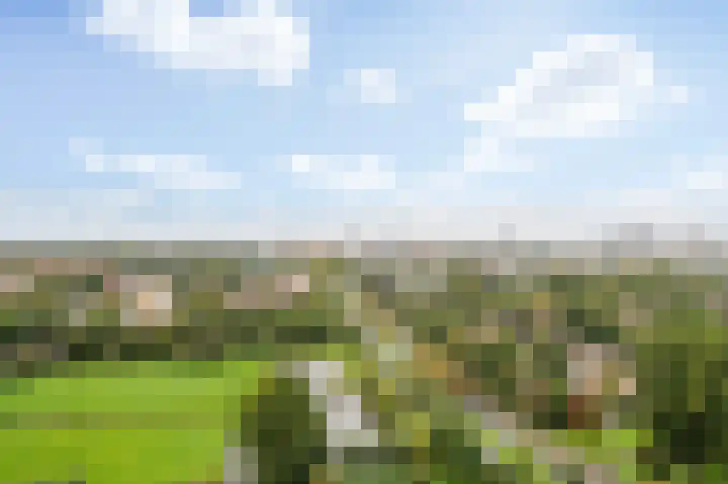 Rodelaan 379 Voorburg thumbnail 12