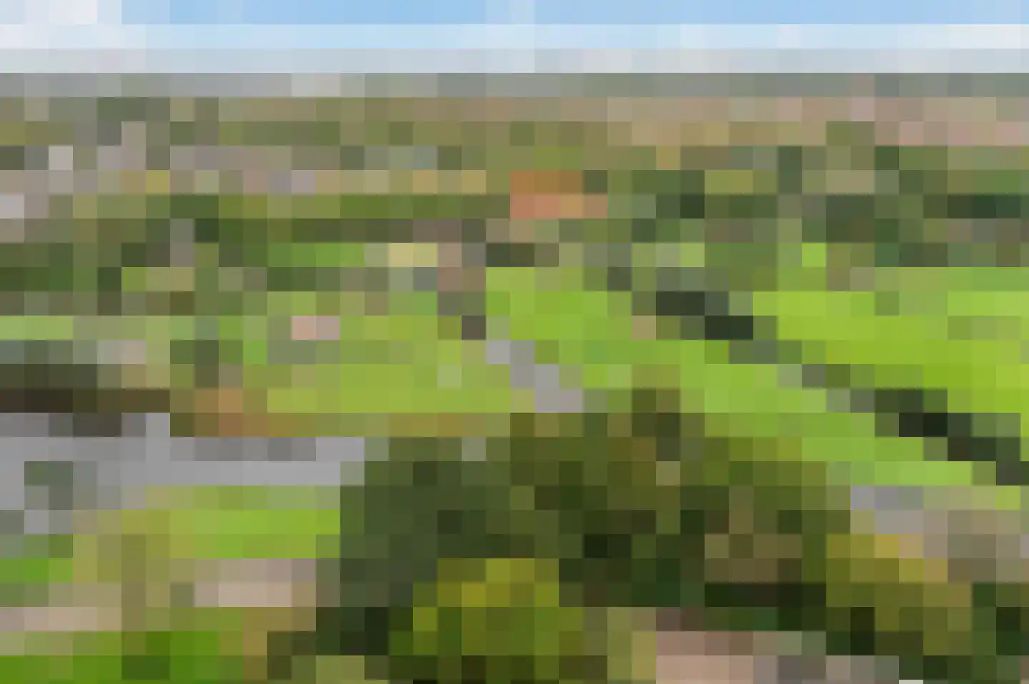 Rodelaan 379 Voorburg thumbnail 13