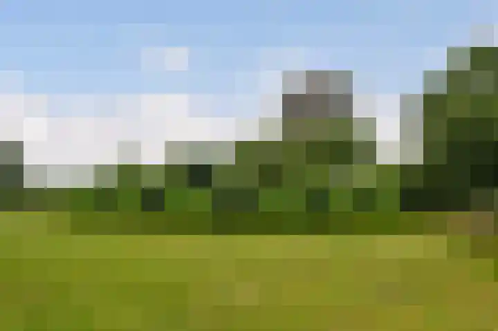 Rodelaan 391 Voorburg thumbnail 19