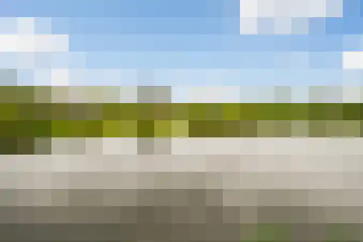 Rodelaan 391 Voorburg thumbnail 20