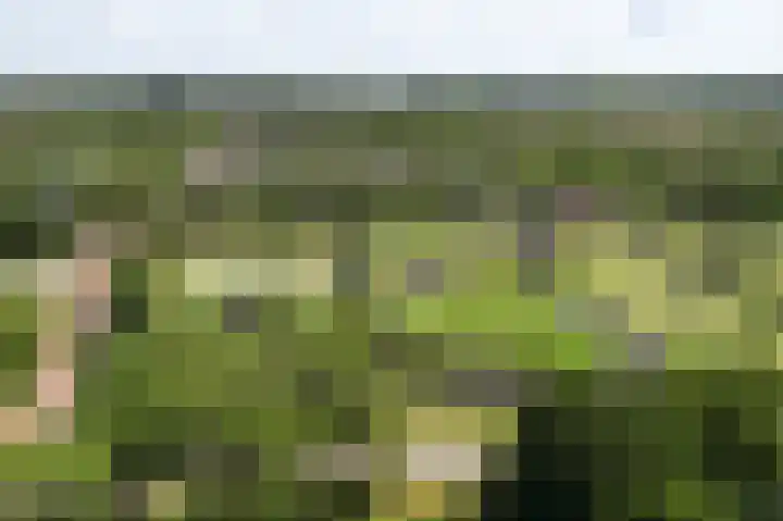 Rodelaan 391 Voorburg thumbnail 6