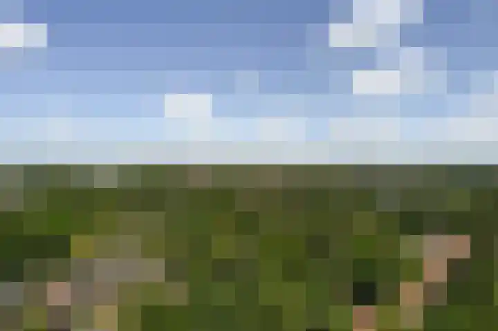 Rodelaan 391 Voorburg thumbnail 7