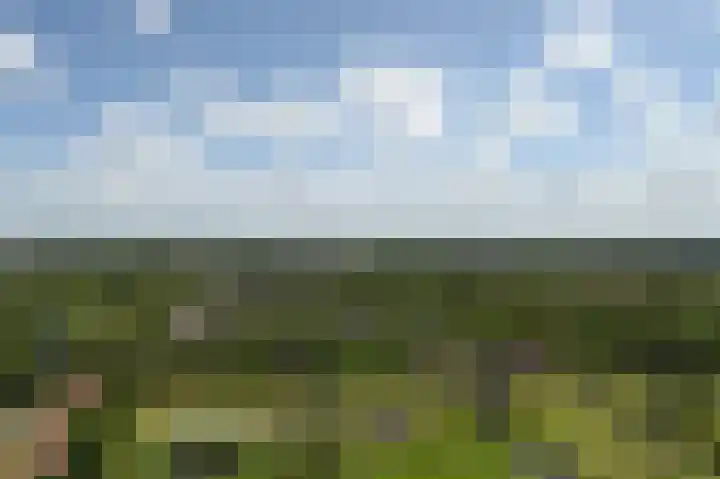Rodelaan 391 Voorburg thumbnail 8