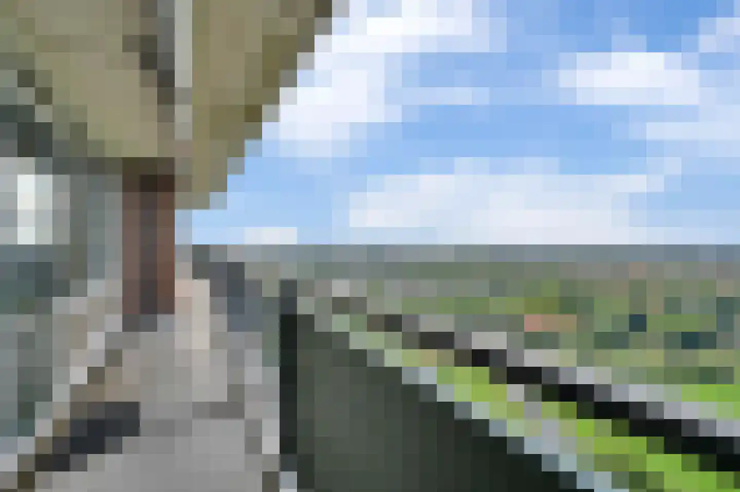 Rodelaan 411 Voorburg thumbnail 24