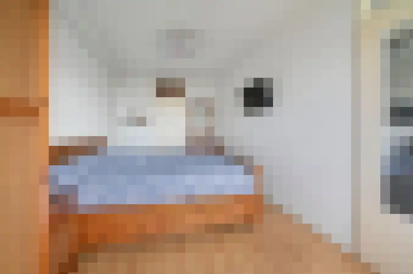 Rodelaan 411 Voorburg thumbnail 30