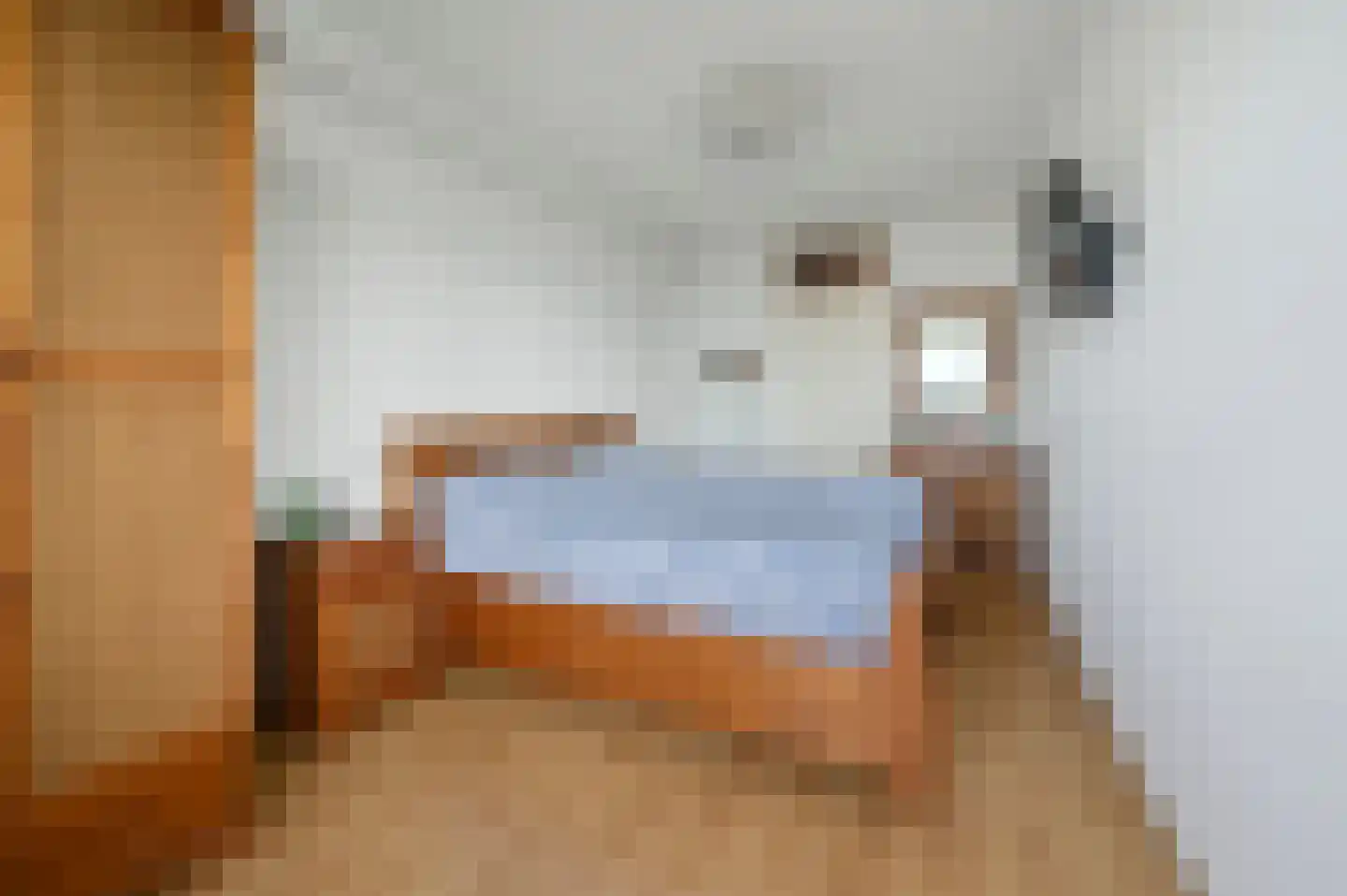 Rodelaan 411 Voorburg thumbnail 31