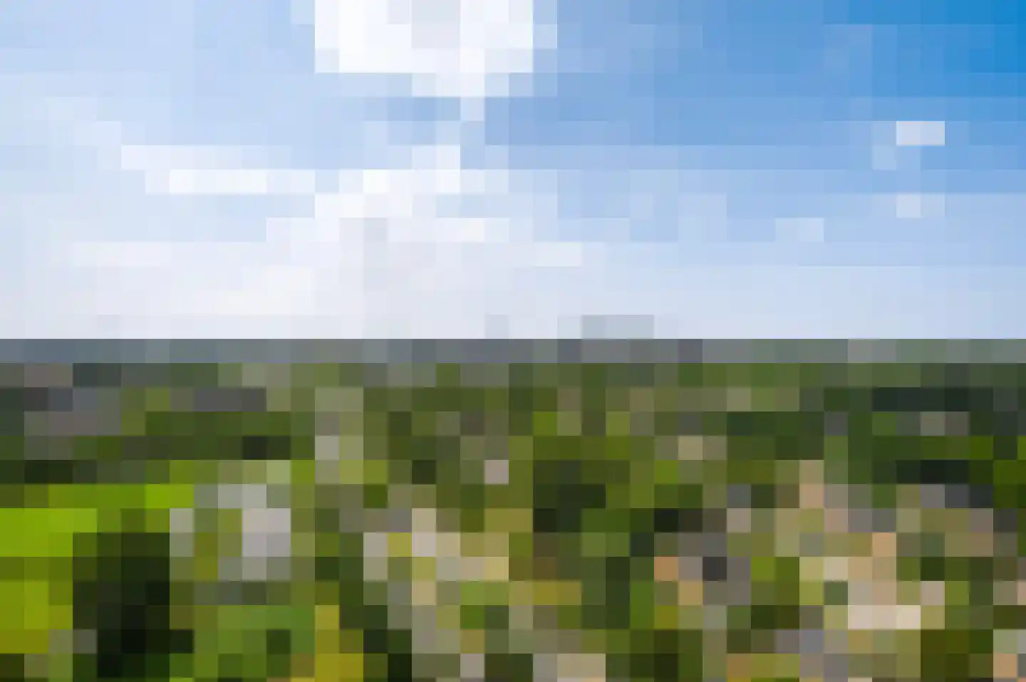 Rodelaan 419 Voorburg thumbnail 22