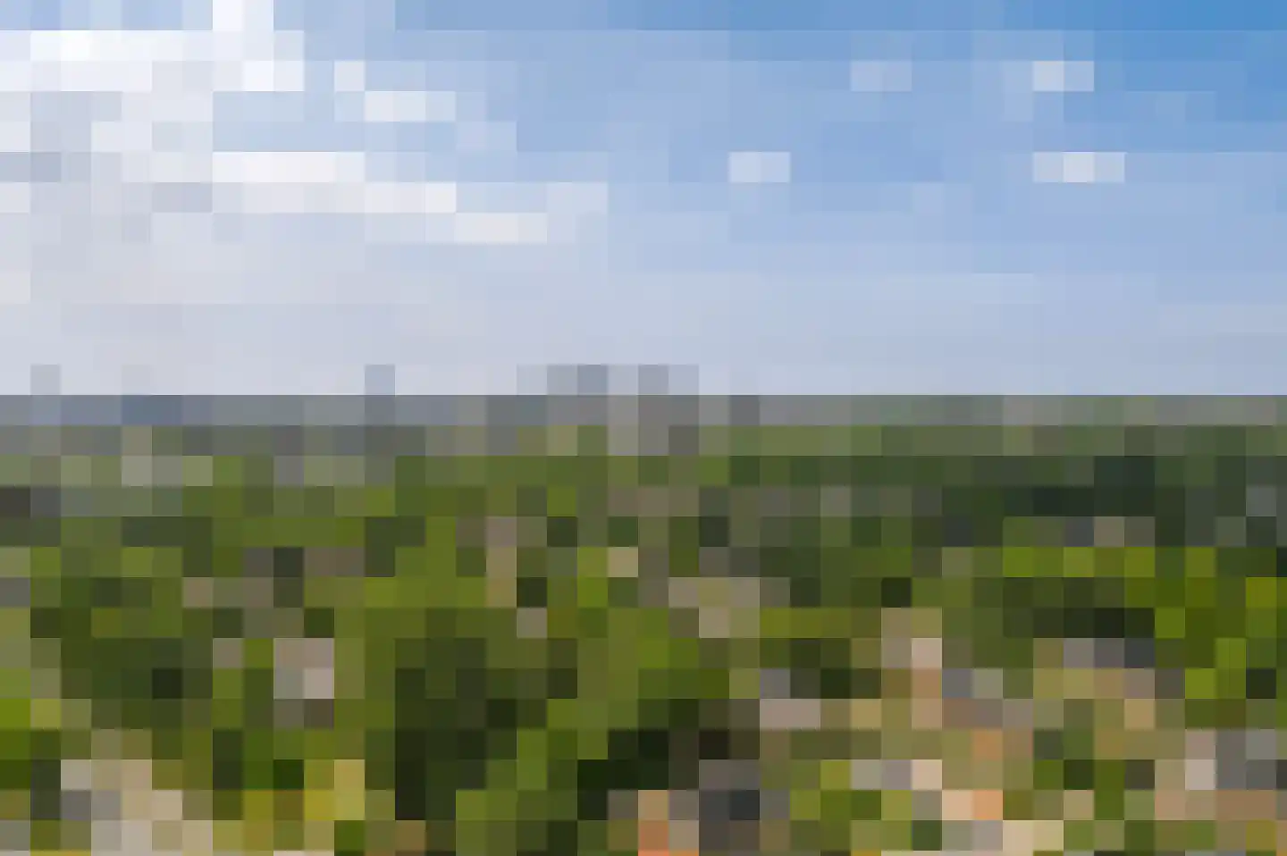 Rodelaan 419 Voorburg thumbnail 24