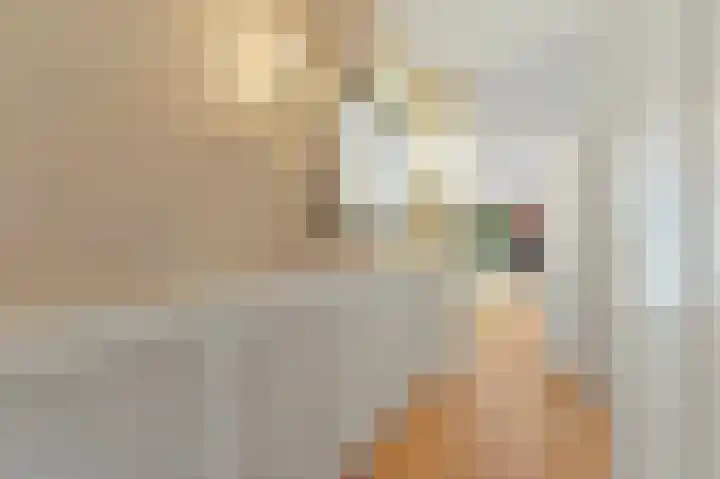 Rodelaan 5 Voorburg thumbnail 13