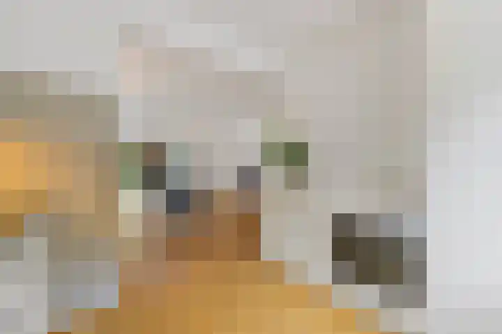 Rodelaan 5 Voorburg thumbnail 15