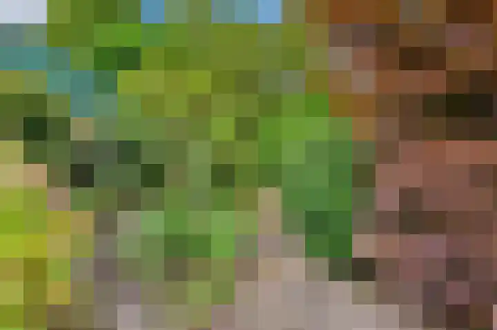 Rodelaan 5 Voorburg thumbnail 21