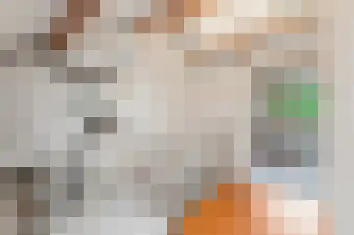 Rodelaan 5 Voorburg thumbnail 40