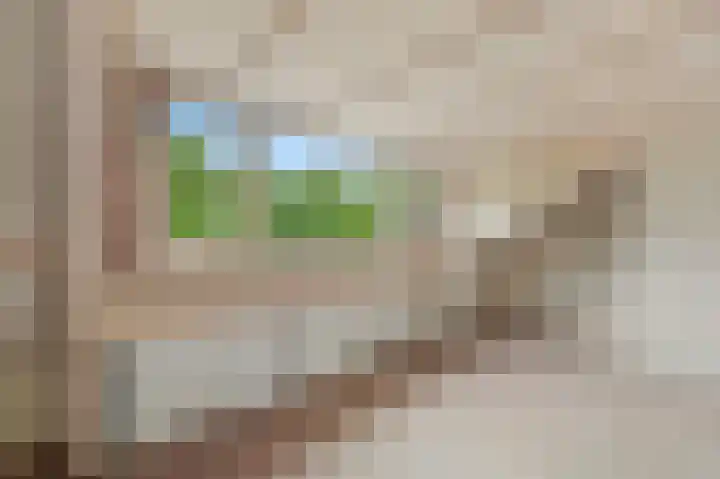 Rodelaan 5 Voorburg thumbnail 45